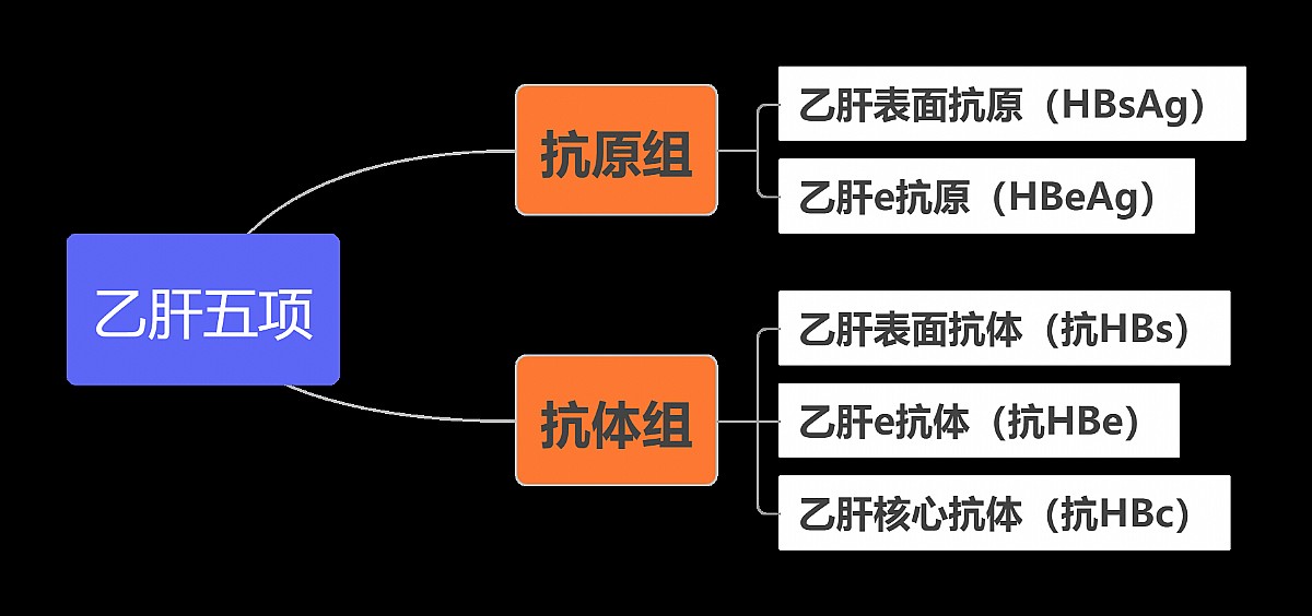 乙肝五项.png